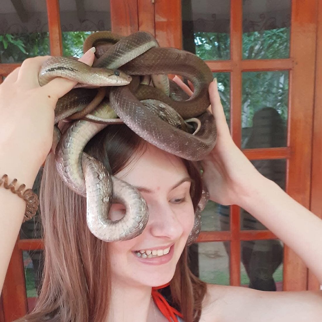 Telijjawila snake farm reptile sanctuary Southern Province