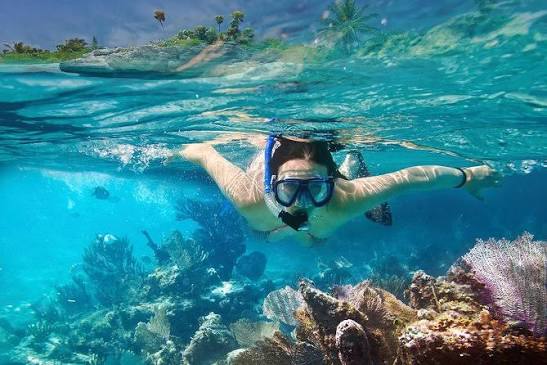 Snorkeling with sea turtles at Polhena Beach Matara